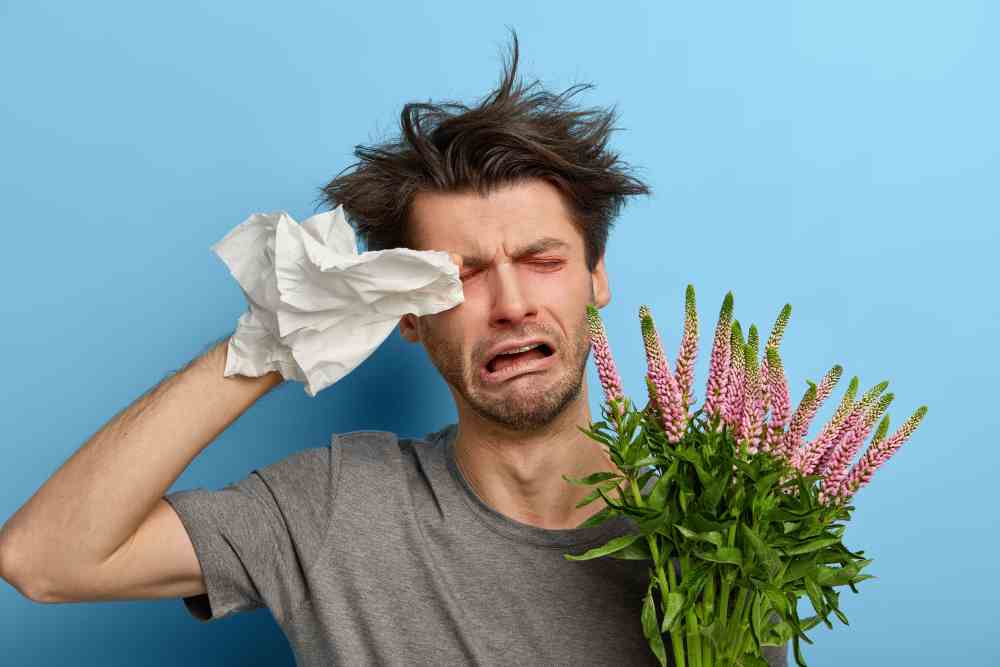 Alergias oculares: cómo cuidar tus ojos en primavera 2 Alergias oculares primavera